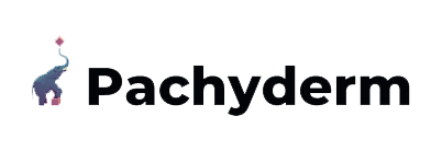 pachyderm logo color 2019